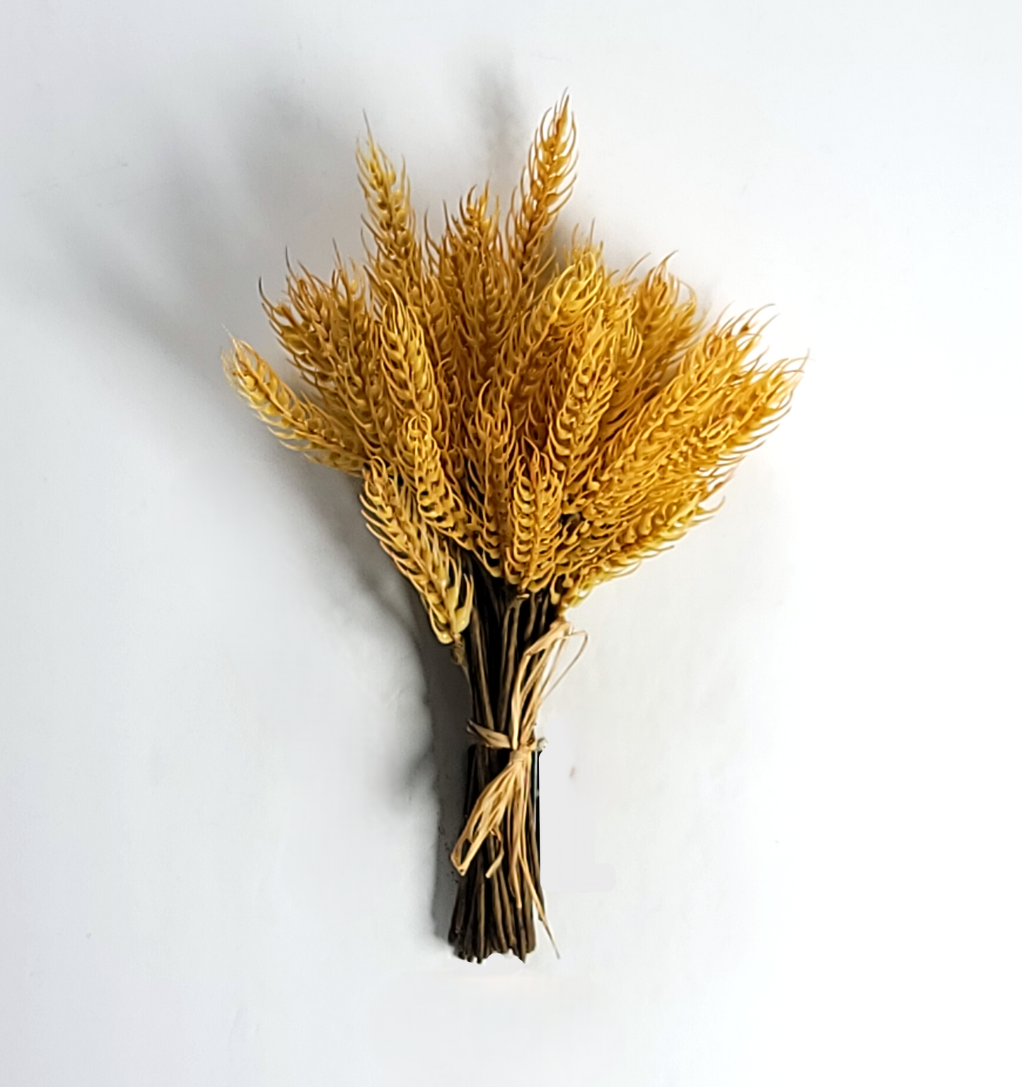 FFQ25679P  10" Wheat Sheaf