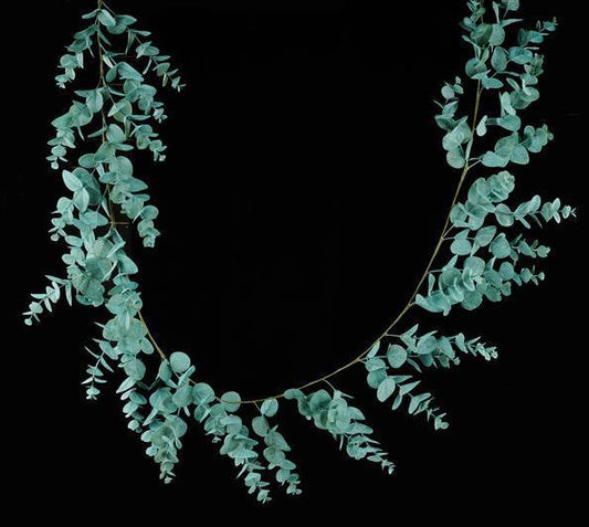 FG637734 6'L SPIRAL EUCALYPTUS GARLAND - A&B Wholesale Market Inc