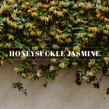 40241 Spray-Honeysuckle Jasmine, 4oz - A&B Wholesale Market Inc