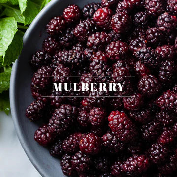 10001 Votive-Mulberry - A&B Wholesale Market Inc