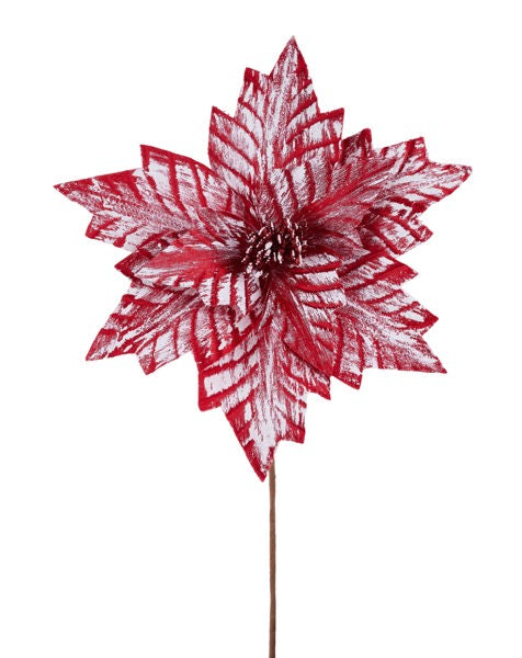 NF412224  12"Dia x 18"L Poinsettia Stem- RED/BRUSHED WHITE