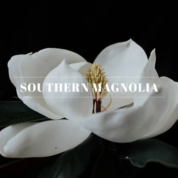 40285 Wax Melt- Southern Magnolia