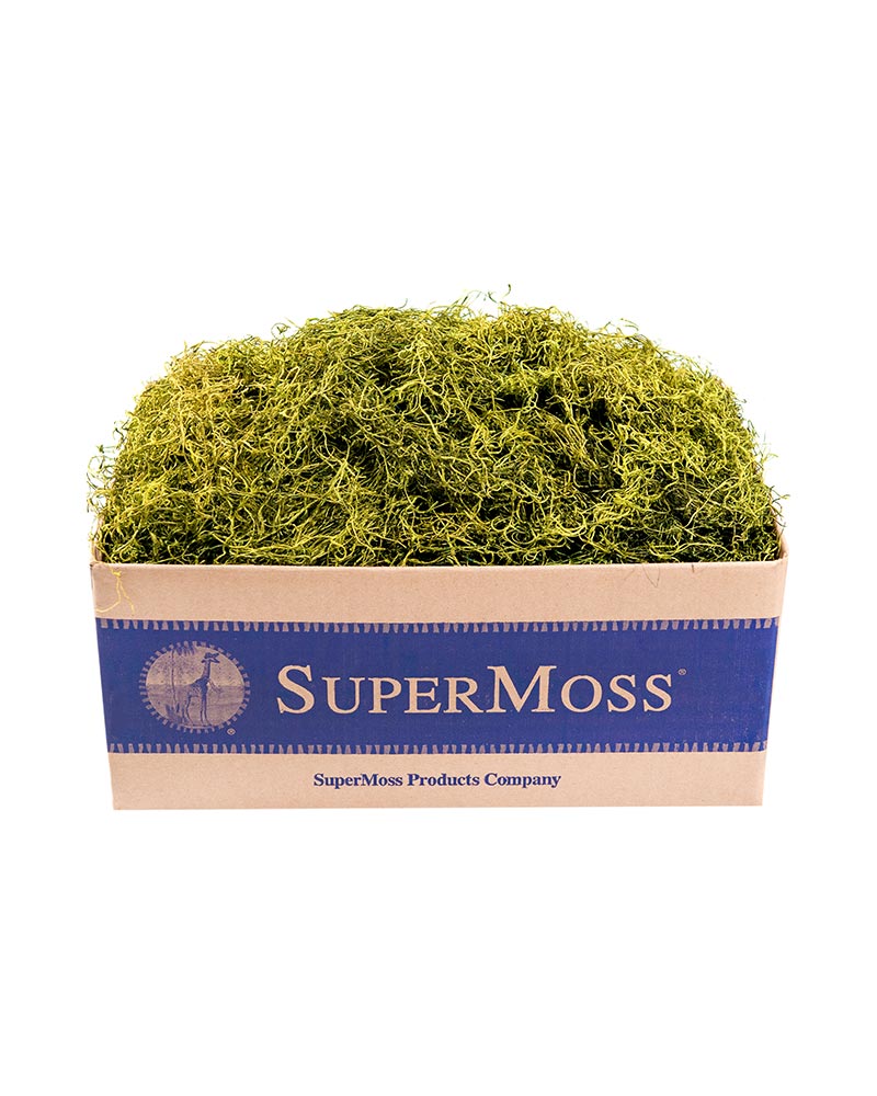 27012 Spanish Moss 3LB CH - A&B Wholesale Market Inc