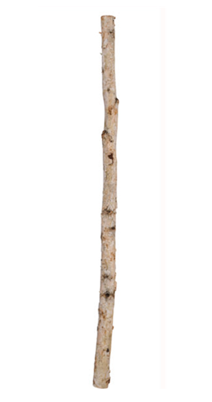 TC1020   39.25"L x 1.5"Dia Birch Log