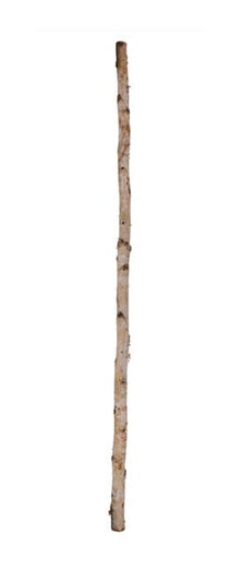 TC1022  59"L x 1.5"Dia Birch Log