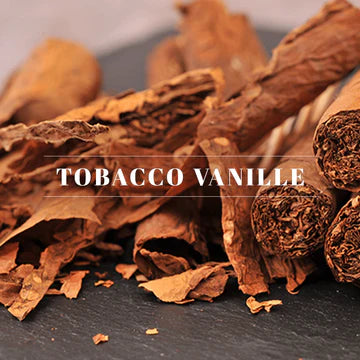 22-Tv Auto Fragrance-Tobacco Vanille - A&B Wholesale Market Inc