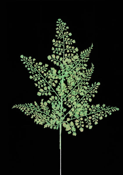 XS236833  23"L Glitter Maidenhair Fern Spray x7