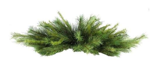 XX2164  42"L APPALACHIAN PINE CENTERPIECE