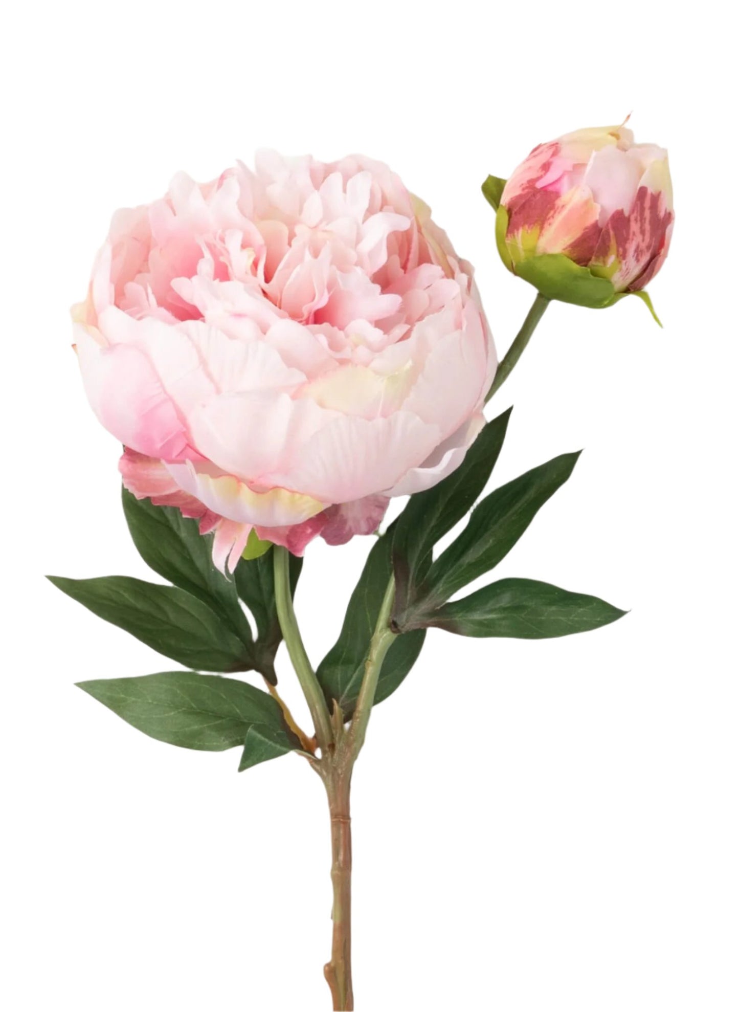 GA1576PI PEONY SPRAY W/BUD- PALE PINK