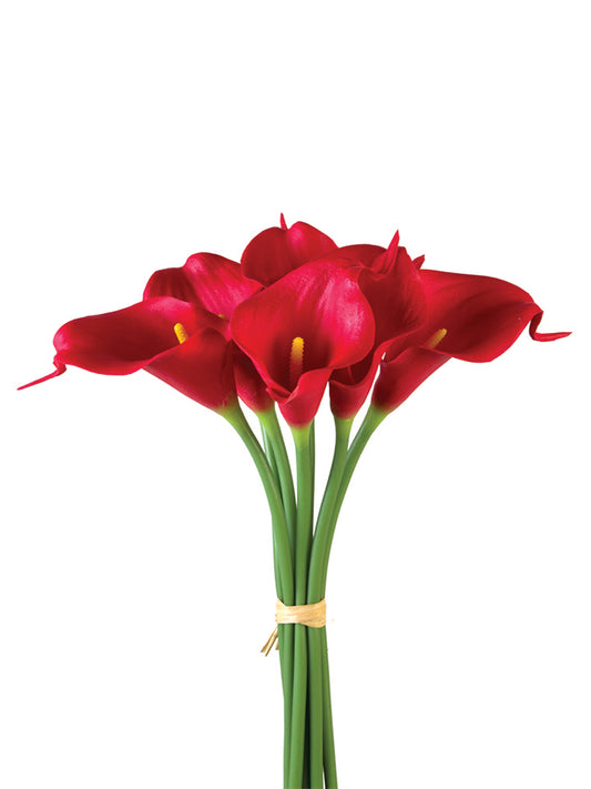 2242036RD 12" CALLA LILY STEM X7 RED