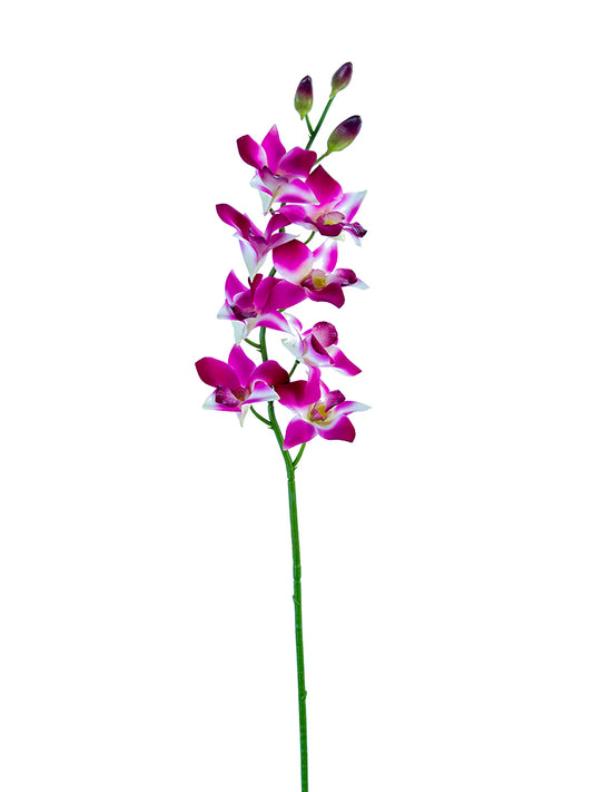 2230092FU 27" DENDROBIUM ORCHID FUCHSIA REAL TOUCH - A&B Wholesale Market Inc