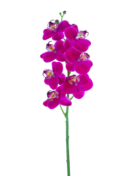 2230094FU 24" PHALAENOPSIS ORCHID FUCHSIA REAL TOUCH