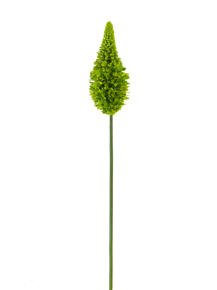 2290081LG- 33" EREMURUS LIGHT GREEN - A&B Wholesale Market Inc