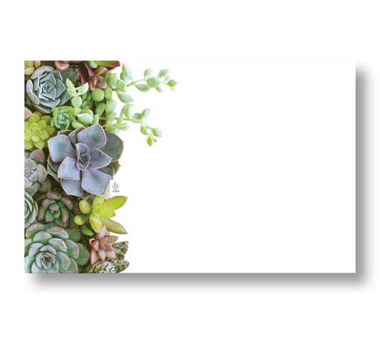 03142 Enclosure Card- Succulents - A&B Wholesale Market Inc