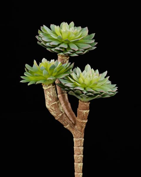 FB103475 7"L UV SHIELD SUCCULENT PICK MULTI GREEN - A&B Wholesale Market Inc