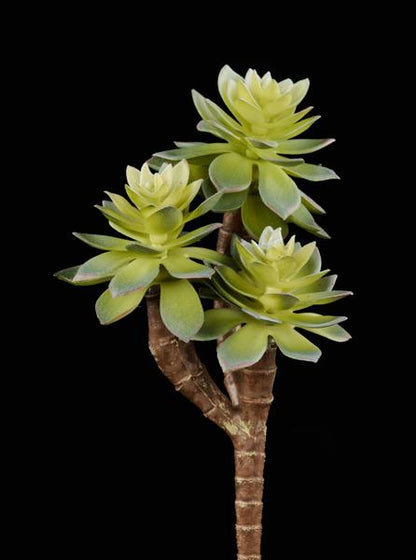 FE105375 7"L UV SHIELD SUCCULENT PICK MULTI GREEN - A&B Wholesale Market Inc